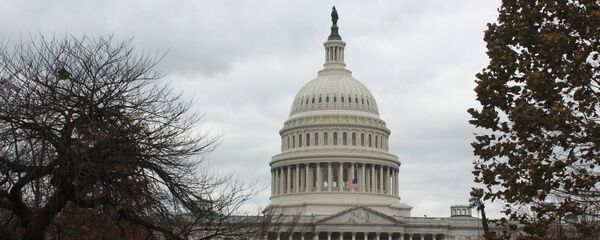 美众议院通过禁止购买俄罗斯国债的修正案 - 俄罗斯卫星通讯社