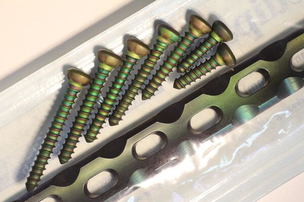 带有磁控磷酸钙涂层的植入体 - 俄罗斯卫星通讯社