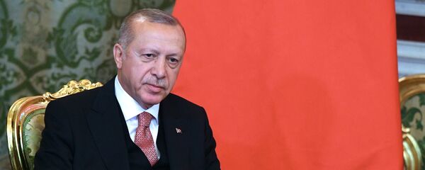 土耳其總統埃爾多安 土耳其總統埃爾多安 - 俄羅斯衛星通訊社