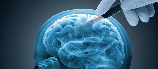 科学家指出了避免得痴呆症的办法 - 俄罗斯卫星通讯社