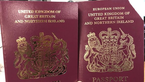 英國將發放沒有“歐盟”字樣的新出國護照 - 俄羅斯衛星通訊社