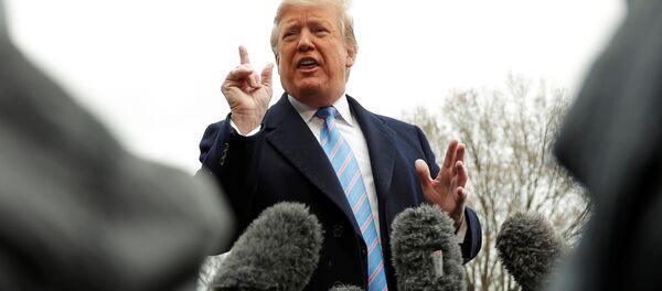 美国总统：解除对朝制裁的时机尚未成熟 - 俄罗斯卫星通讯社