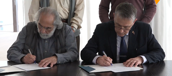 俄政府与法国专家签署“鲸鱼监狱”中动物的放归协议 - 俄罗斯卫星通讯社