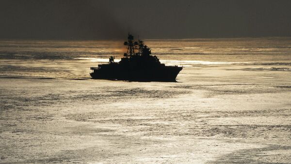 俄太平洋舰队和菲律宾海军在南中国海举行演习 - 俄罗斯卫星通讯社