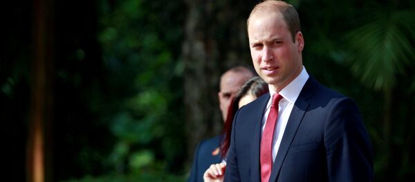 Принц Уильям во время визита в официальную резиденцию президента Вьетнама в Ханое - 俄羅斯衛星通訊社