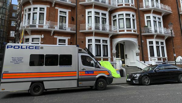 英国又拘捕了1名“死亡货车案”嫌疑人 - 俄罗斯卫星通讯社