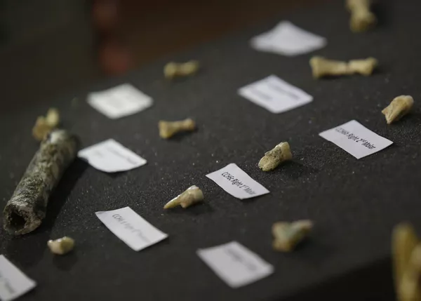不知人種的古人類遺骸 不知人種的古人類遺骸 - 俄羅斯衛星通訊社
