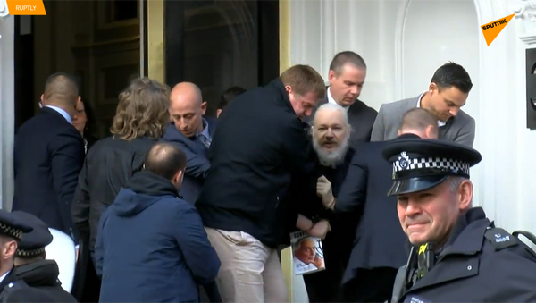 阿桑奇在厄瓜多尔驻伦敦大使馆旁被捕 - 俄罗斯卫星通讯社