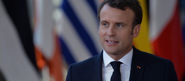 法国总统宣布将于近期与普京举行“长时间、内容丰富的谈话” - 俄罗斯卫星通讯社