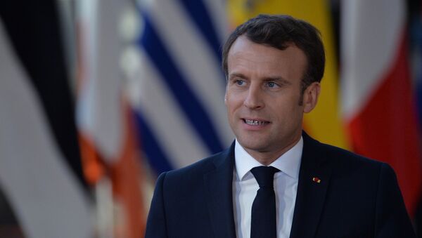 法國總統宣佈將於近期與普京舉行“長時間、內容豐富的談話” - 俄羅斯衛星通訊社