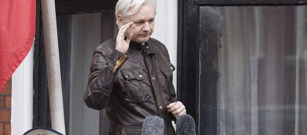 律師:取消阿桑奇的厄瓜多爾國籍與瓜憲法相悖 律師:取消阿桑奇的厄瓜多爾國籍與瓜憲法相悖 - 俄羅斯衛星通訊社