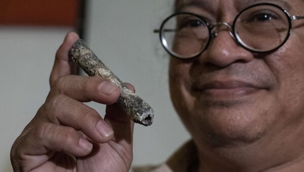 科学家们在菲律宾发现不知人种的古人类遗骸 - 俄罗斯卫星通讯社