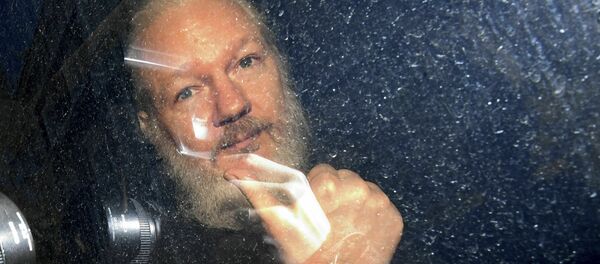 阿桑奇在厄瓜多尔使馆避难期间曾遭西班牙保安公司24小时监视 - 俄罗斯卫星通讯社