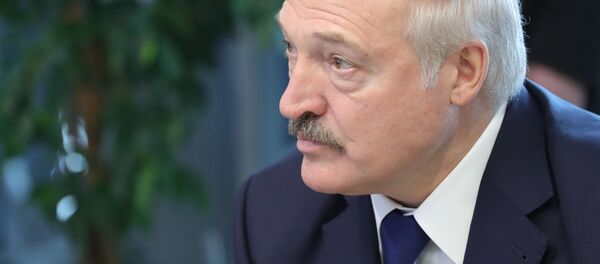 卢卡申科访俄期间没有与普京作出秘密决定的计划 - 俄罗斯卫星通讯社