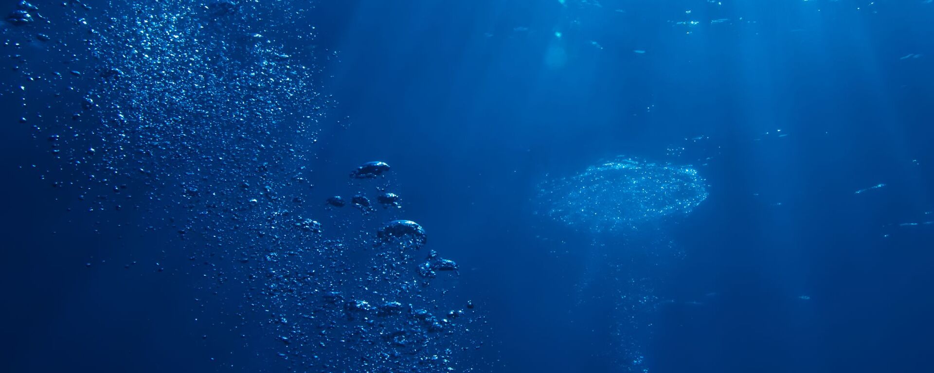 美國海岸警衛隊：在大西洋失蹤的“泰坦”號深潛器攜帶的氧氣還可維持40個小時 - 俄羅斯衛星通訊社, 1920, 21.06.2023