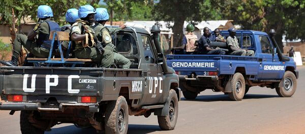 总统令：俄方将派遣30名军人参加联合国中非稳定团部队 - 俄罗斯卫星通讯社