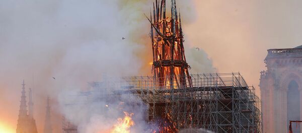 起火的巴黎圣母院的屋顶已经坍塌 - 俄罗斯卫星通讯社
