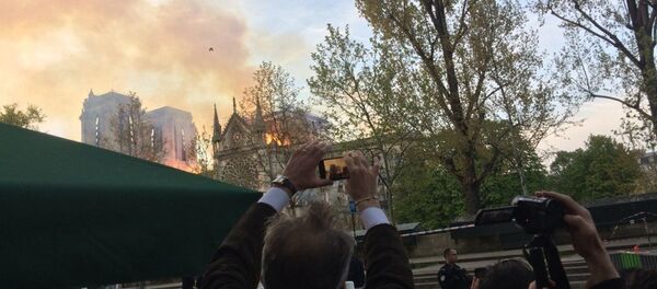 巴黎圣母院发生大火 - 俄罗斯卫星通讯社
