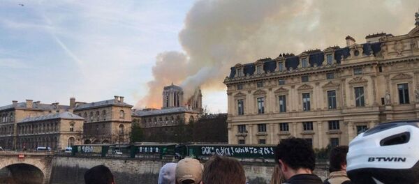 巴黎圣母院大教堂的修复至少需要十数年 - 俄罗斯卫星通讯社