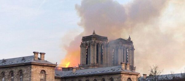 法国开始募集修复巴黎圣母院的资金 - 俄罗斯卫星通讯社