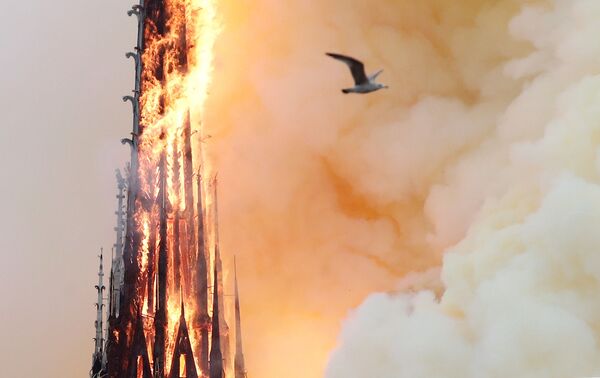 巴黎圣母院大火 - 俄罗斯卫星通讯社