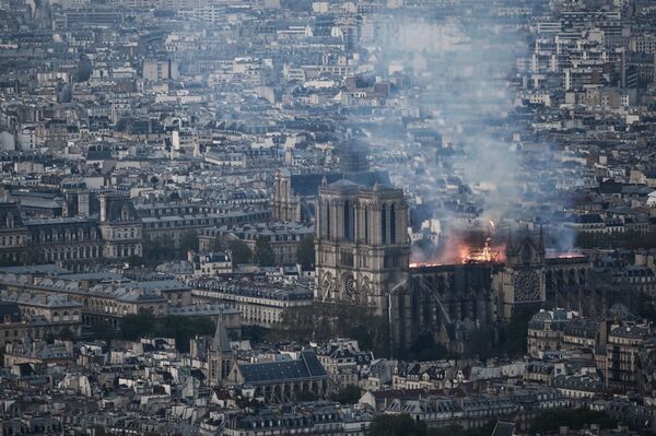 巴黎圣母院大火 - 俄罗斯卫星通讯社