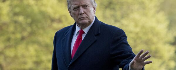 特朗普决定继续支持沙特在也门的军事行动 - 俄罗斯卫星通讯社