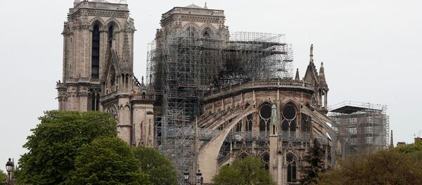 需要约4个月时间来确保巴黎圣母院安全 - 俄罗斯卫星通讯社