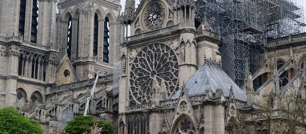 华媒：中国建筑师方案获巴黎圣母院屋顶设计大赛冠军 - 俄罗斯卫星通讯社