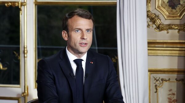 法国总统表示希望在五年内重建巴黎圣母院 - 俄罗斯卫星通讯社