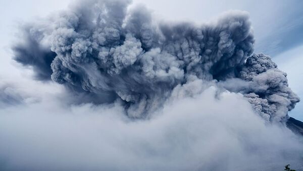 專家揭開世界最大火山形成之謎 - 俄羅斯衛星通訊社