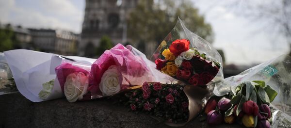 巴黎圣母院火灾后将关闭5-6年 - 俄罗斯卫星通讯社