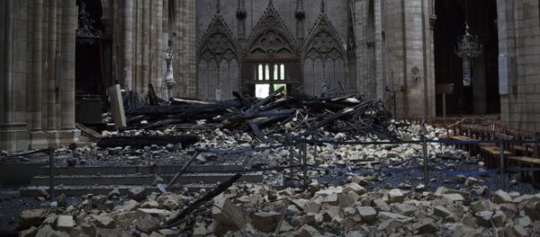 巴黎圣母院屋顶蜂箱中的上万只蜜蜂在火灾中幸存 巴黎圣母院屋顶蜂箱中的上万只蜜蜂在火灾中幸存 - 俄罗斯卫星通讯社