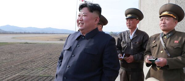 应俄罗斯总统普京的邀请，朝鲜领导人金正恩将于2019年4月下旬访问俄罗斯 - 俄罗斯卫星通讯社