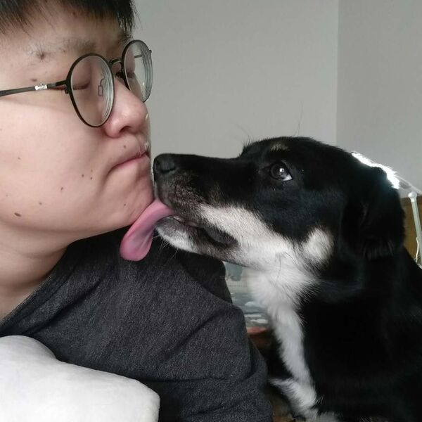 解壓良藥：為甚麼中國人需要養貓養狗？ - 俄羅斯衛星通訊社