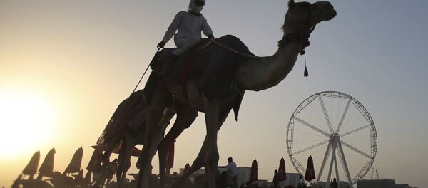 世界最高摩天轮将于2020年在迪拜开放 世界最高摩天轮将于2020年在迪拜开放 - 俄罗斯卫星通讯社