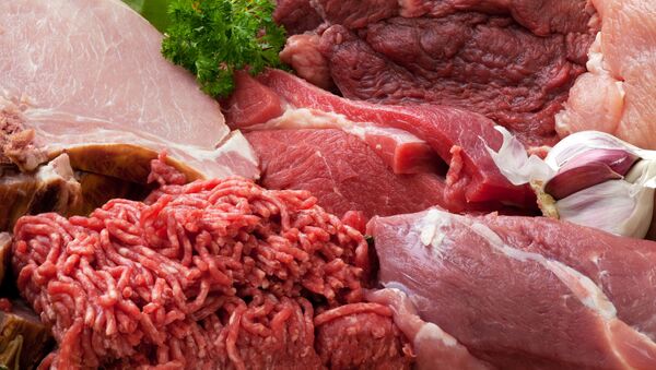 俄罗斯生产出廉价人造肉 - 俄罗斯卫星通讯社