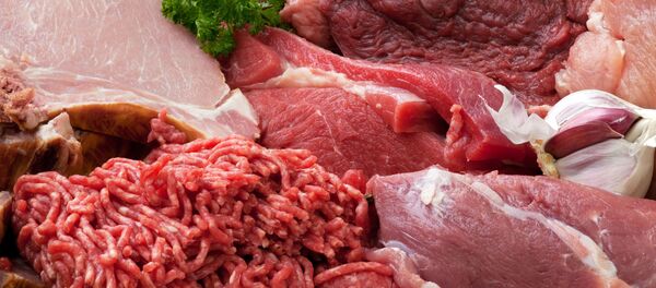 俄罗斯生产出廉价人造肉 - 俄罗斯卫星通讯社