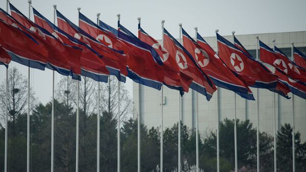 Флаги Северной Кореи в Пхеньяне - 俄罗斯卫星通讯社