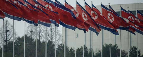 俄议员：解决朝鲜问题需要俄中两国的参与 - 俄罗斯卫星通讯社