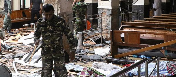 斯里兰卡 - 俄罗斯卫星通讯社