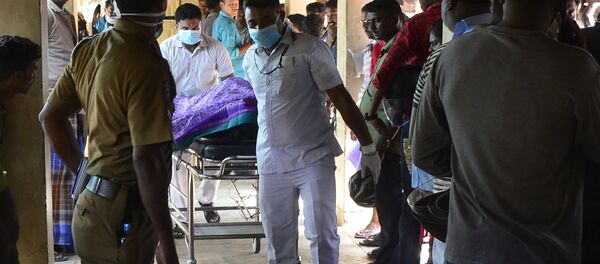 斯里兰卡 - 俄罗斯卫星通讯社