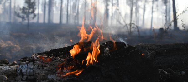 俄用人工降雨撲滅西伯利亞森林火災 俄用人工降雨撲滅西伯利亞森林火災 - 俄羅斯衛星通訊社