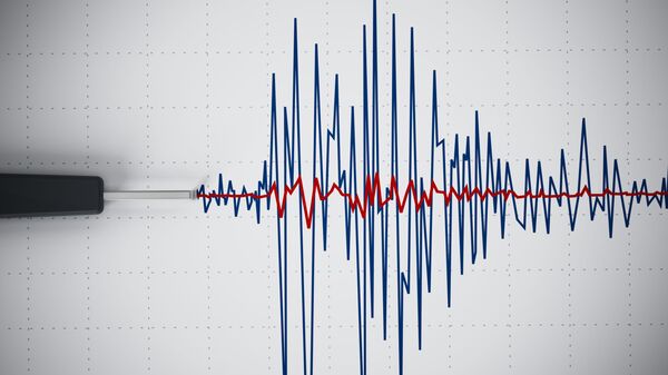 海南三亞再次發生地震 - 俄羅斯衛星通訊社
