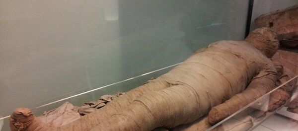 Мумия - 俄罗斯卫星通讯社