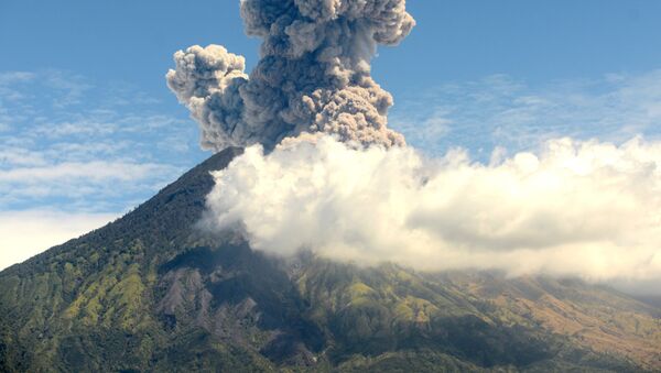 厄瓜多爾8.3萬公頃農田被火山灰覆蓋 - 俄羅斯衛星通訊社