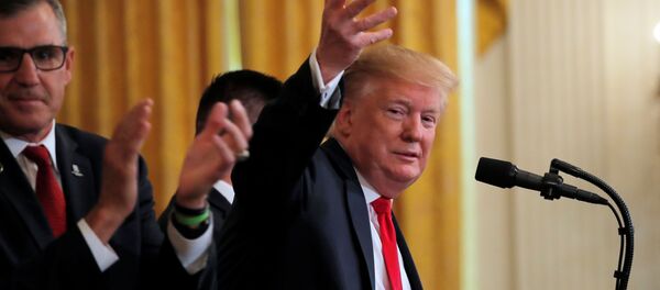 美国总统唐纳德•特朗普 - 俄罗斯卫星通讯社