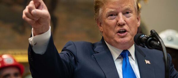 美国总统唐纳德•特朗普 - 俄罗斯卫星通讯社