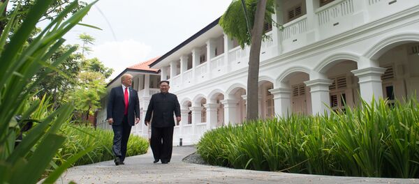 莫斯科对朝美领导人板门店会晤表示欢迎 - 俄罗斯卫星通讯社