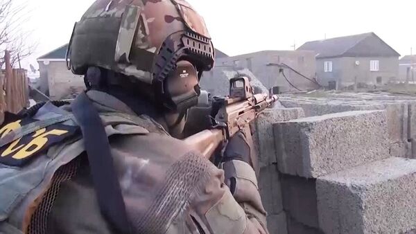 俄联邦安全局 - 俄罗斯卫星通讯社